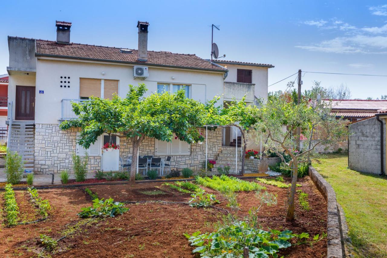 Apartment Tesic Close To The Sea With Shared 4Xbicycles Fažana Extérieur photo