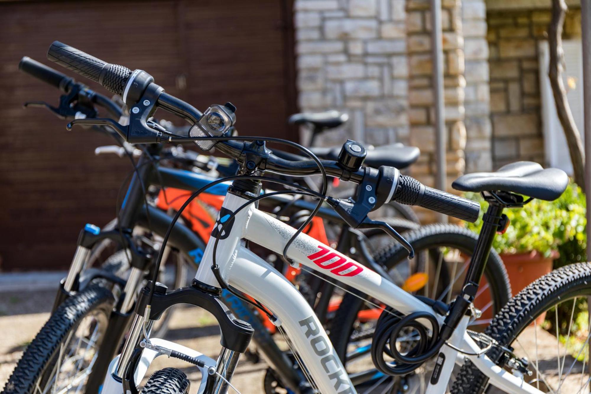 Apartment Tesic Close To The Sea With Shared 4Xbicycles Fažana Extérieur photo