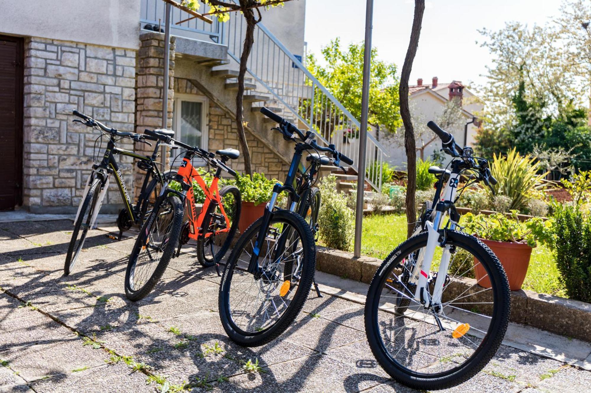 Apartment Tesic Close To The Sea With Shared 4Xbicycles Fažana Extérieur photo