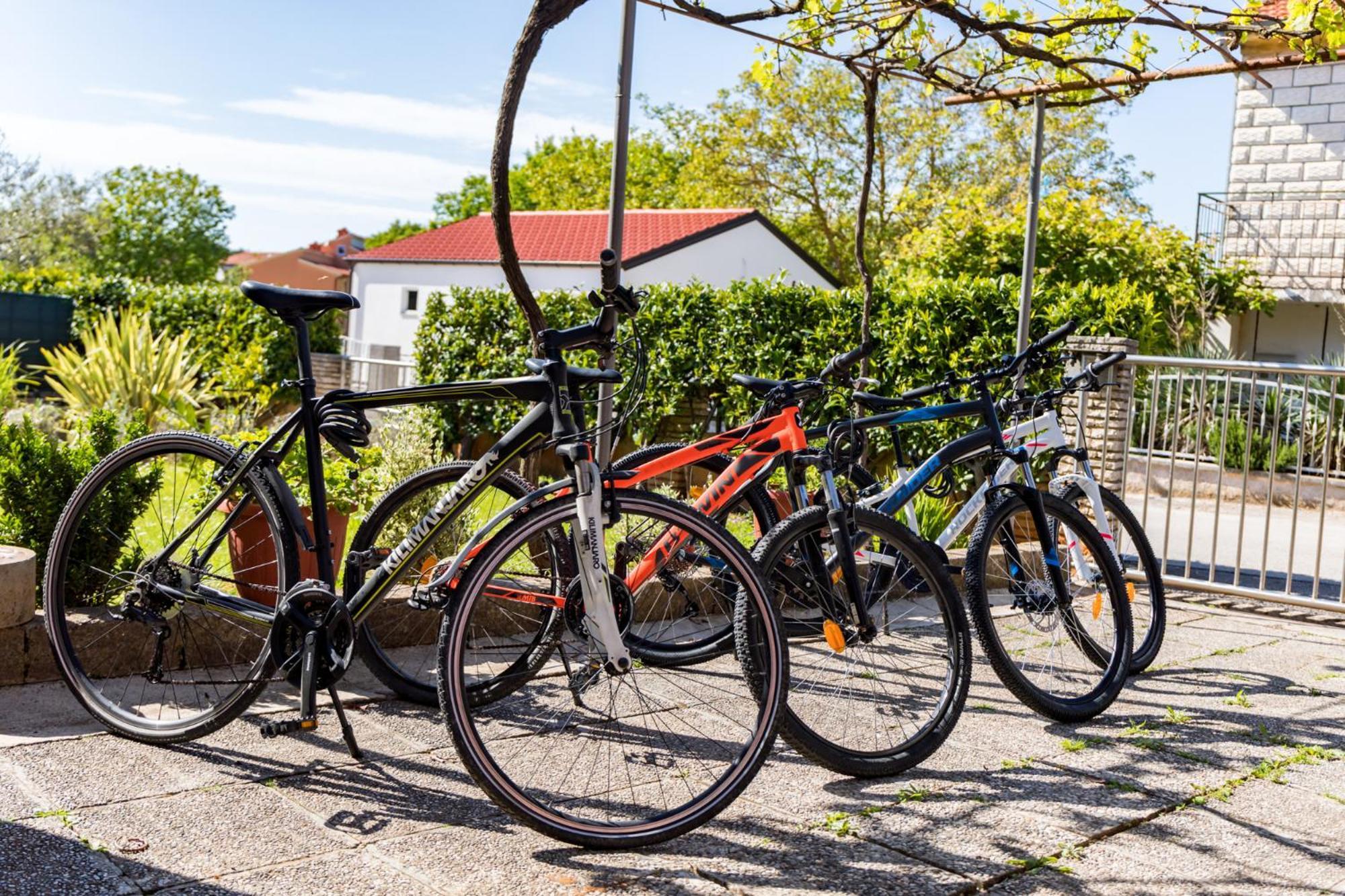 Apartment Tesic Close To The Sea With Shared 4Xbicycles Fažana Extérieur photo