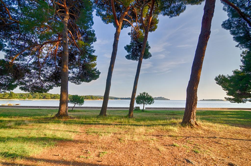 Apartment Tesic Close To The Sea With Shared 4Xbicycles Fažana Extérieur photo
